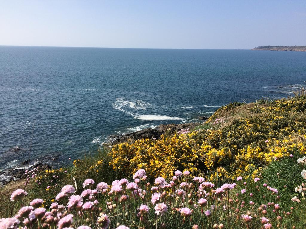 La Belle Relax - Calme Et Tranquillite Assures - 2 Personnes Bed and Breakfast Moëlan-sur-Mer Exteriör bild