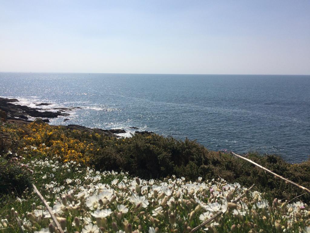 La Belle Relax - Calme Et Tranquillite Assures - 2 Personnes Bed and Breakfast Moëlan-sur-Mer Exteriör bild