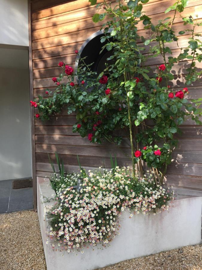 La Belle Relax - Calme Et Tranquillite Assures - 2 Personnes Bed and Breakfast Moëlan-sur-Mer Exteriör bild